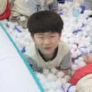 금빛유치원 네이버블로그
