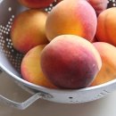 삼차농장 이미지