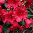 바덴(Baden) 이미지