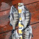 영등라인1 이미지