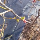 솔빛농장 이미지