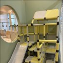 이젠필라테스 이미지