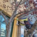 대구화교초등학교 이미지