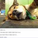 위로 이미지