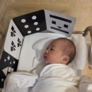 로하스치킨 | 봄빛병원 조리원 1관 일반실 후기(설 연휴)