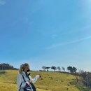 NR-6[경강로]-하-210 | 평창 뚜벅이 혼자 여행 ➁편 :: 가을가을한 대관령양떼목장을 시내버스로 혼자 가보자!