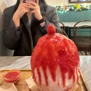 고엔돈까스앤드돈부리 | 2024 f/w 가을편 얼레벌레