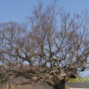 상만목장 이미지