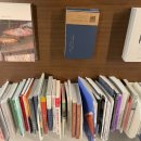 띵크브레인웨이브