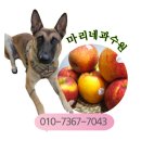 엔비비스토어