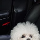 올바른친구들 이미지
