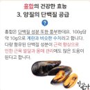 홍합의 건강한 효능 이미지