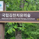 김천 수도산, 국립김천치유의 숲 _ 자작나무 숲을 단지봉까지 올랐다 이미지