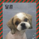깍까독 이미지