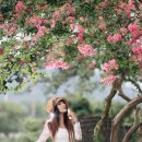 예쁘다 경주 이미지