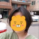 리오헤어3 이미지
