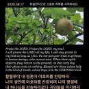 유행가노래