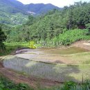 신원면 과정리 이미지