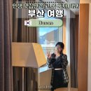 교촌치킨서면점 | 부산 혼자 여행 2박 3일 Vlog | 계획 없이 떠나 인생 맛집만 남긴 기록