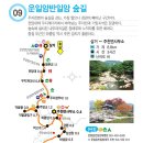 운일암반일암 야영장 Daum카페