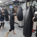 UFC 국제체육관 석남점. 복싱, 킥복싱, 무에타이, MMA 이미지
