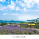 (주)라벤다 이미지