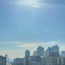 애플리케이션 성능 모니터링(APM) 시스템 프로젝트 후기