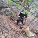 남기농장 이미지