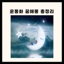 운동화 꿈해몽 빨간 운동화 꿈해몽 이미지