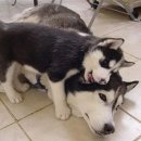 가족사랑 장례토탈서비스 이미지