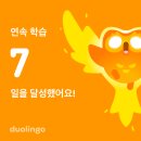 비즈버디 | 2507-08 Tìshôk 영원한 빛은 없으니 빛날 때 만끽하라 ⋆ ☄︎. ·˚ *⋆ ☄︎. ·˚