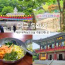 동화교 - 원주시 문막읍 | 석가탄신일 대구 부처님오신날 가볼만한곳 [대구 동화사] 절밥 위치 주차 버스 (26.05.24)