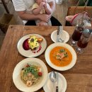 타코링링 | 25년 11월 일상