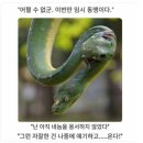 손짜장면을아시나요 | 8月、누가 8월에 개강을 해요