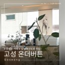 강원도 고성 문암해변 카페 온더버튼, 바다 앞 애견동반 솔직후기 (주차 정보)