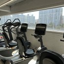 제이미휘트니스 이미지