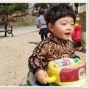 늘푸른어린이집 이미지