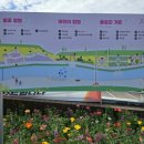 화순 하니움문화스포츠센터 체육관 | 2026 화순 꽃강 봄꽃축제(2026.4.17~4.26)