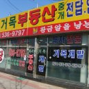 거목개발(주) Daum카페