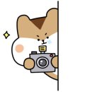 고려디엔씨주 이미지
