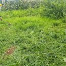 정남농장 이미지