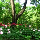 동덕유치원 이미지