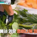 진고개민박 이미지