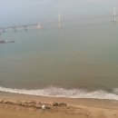 부산깍두기 이미지