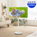 캐스팅허브 | 삼텐바이미 M7 삼성 43인치 TV 스탠드 패키지 실사용 후기