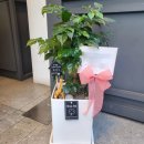flowerstory