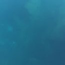 주식회사 파도엔터테인먼트 이미지