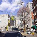양천로1길 Daum카페