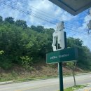 도담공원2 이미지