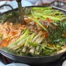 답십리에서 찾은 찐 노포 맛집! 몸보신 제대로 한 풍년식당 오리전골 후기 🦆🔥